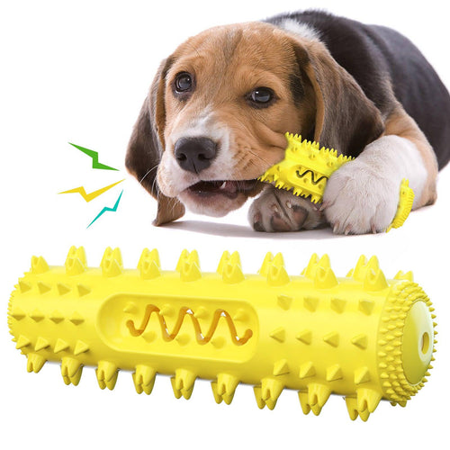 Dog Toothbrush & Teething Toy – 2-in-1 Dental Chew