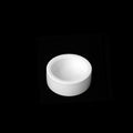 Escape-Proof Ceramic Reptile Food Bowl