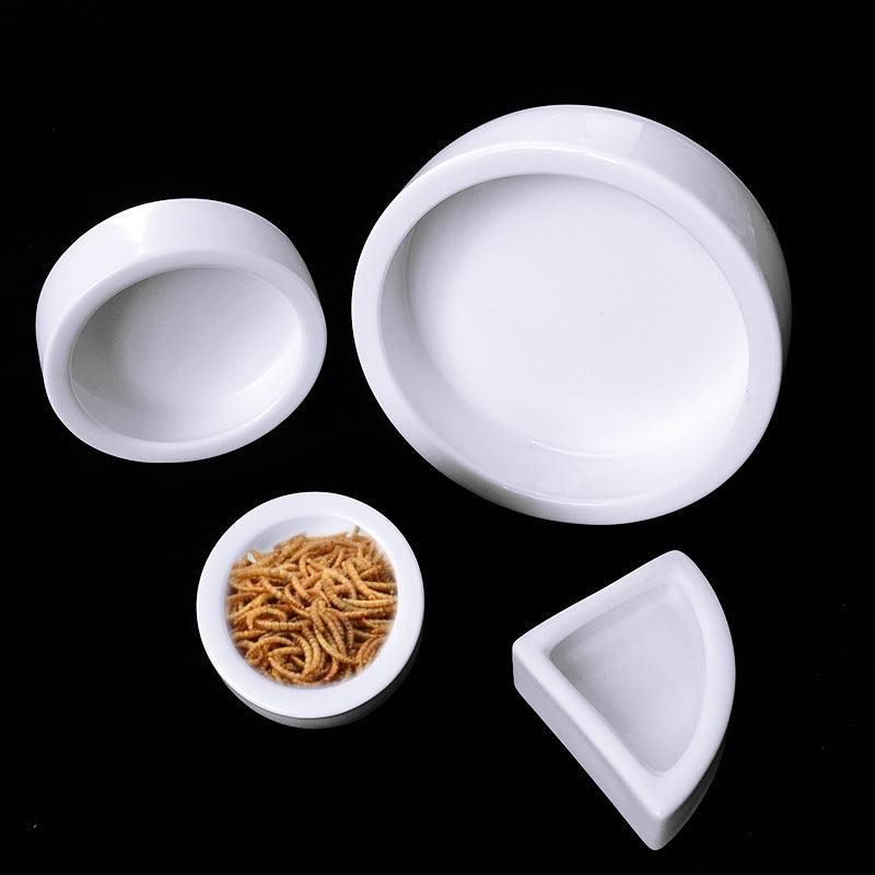 Escape-Proof Ceramic Reptile Food Bowl