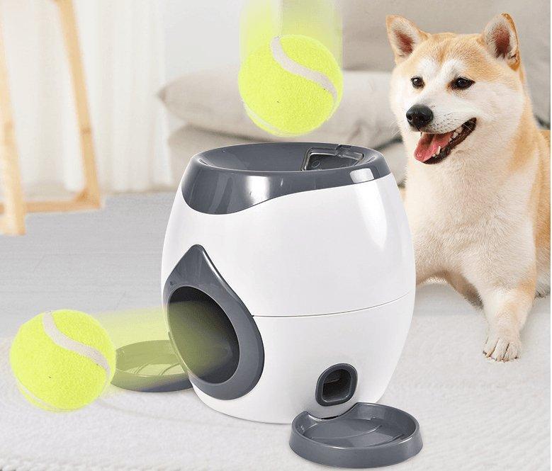 Smart Automatic Pet Feeder & Training Toy