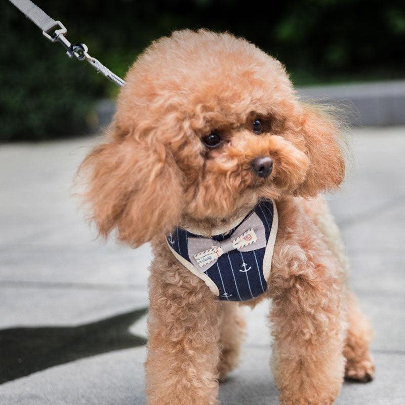 Breathable Mesh Pet Leash for Dogs & Cats